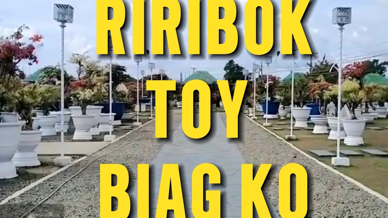 RIRIBOK TOY BIAG KO by Lea Dansalan  #ilocanosongs #MerakiGarden #viral #viralvideo #viralvideos 