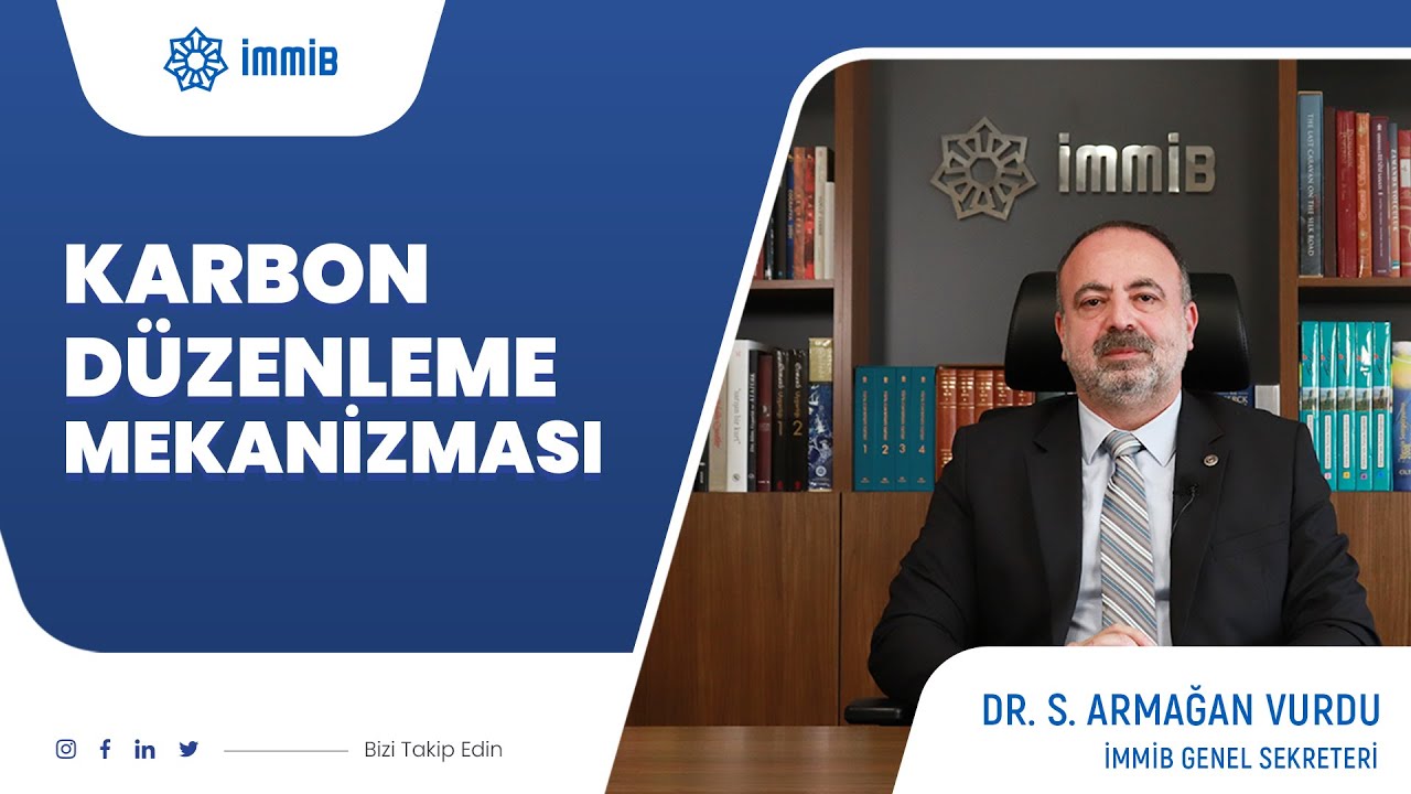 Sınırda Karbon Düzenleme Mekanizması