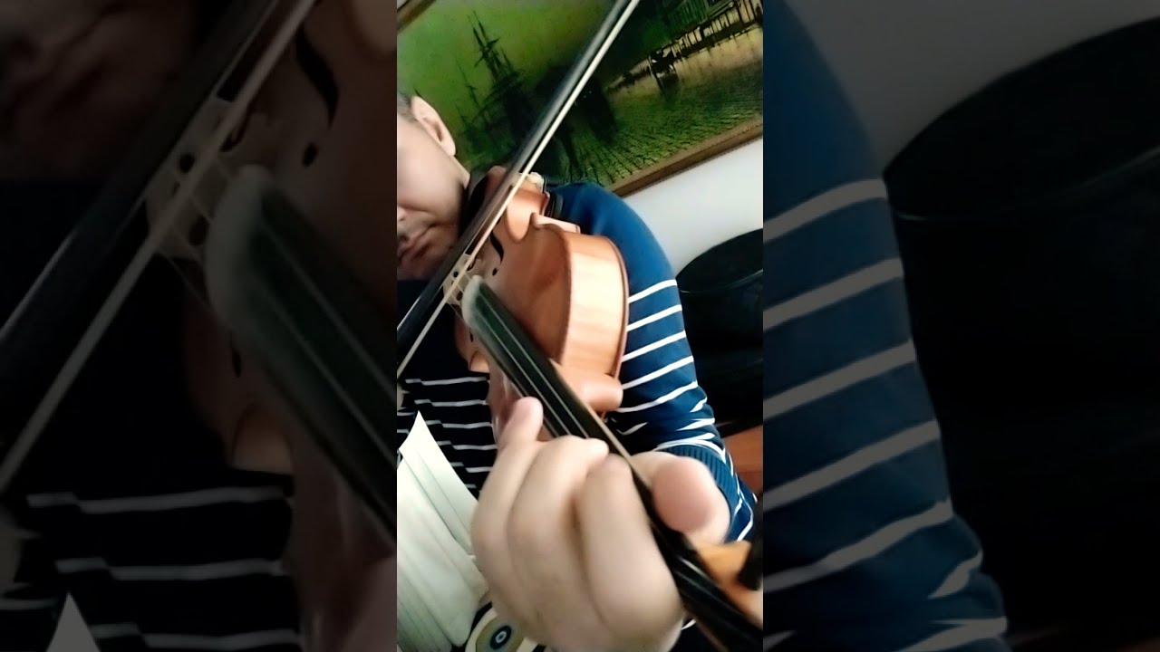 Ne Faydası Var (keman)🎻