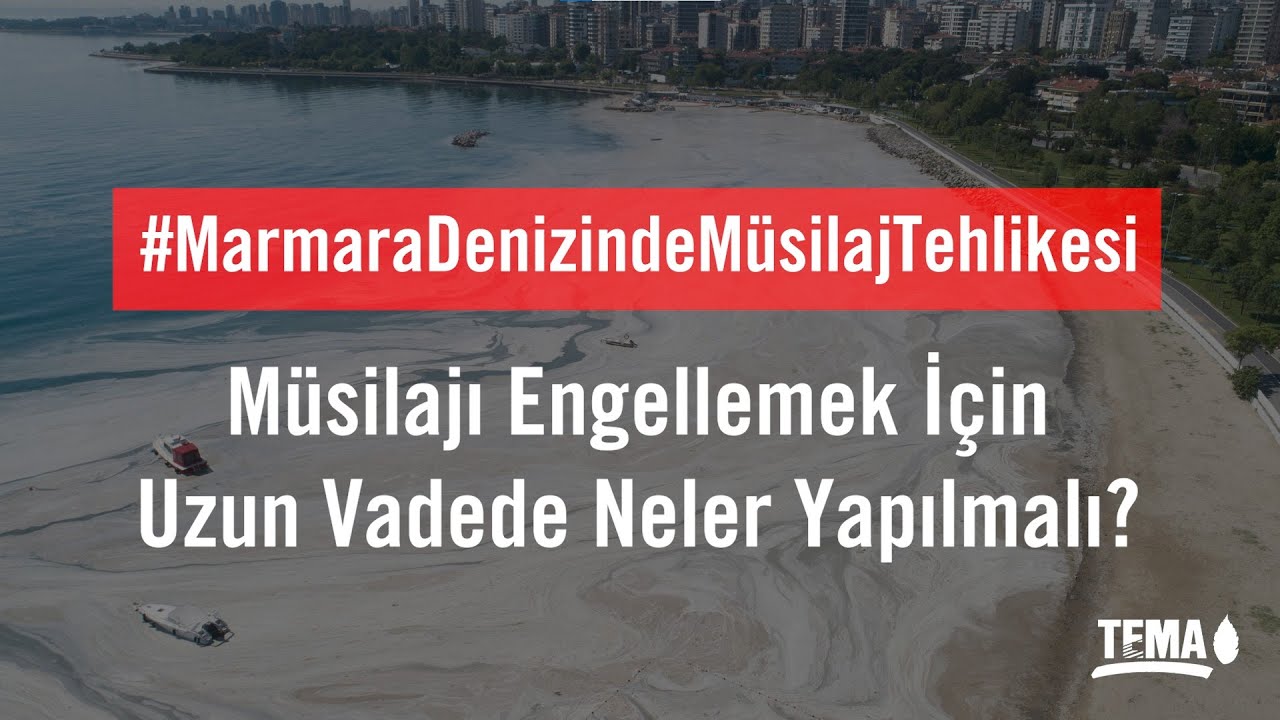 Müsilajı Engellemek İçin Uzun Vadede Neler Yapılmalı?