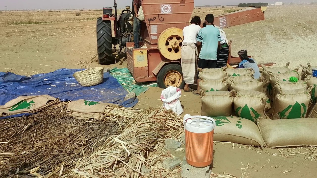 أبرز المزارعين في قرية الهجنبة المسارحة