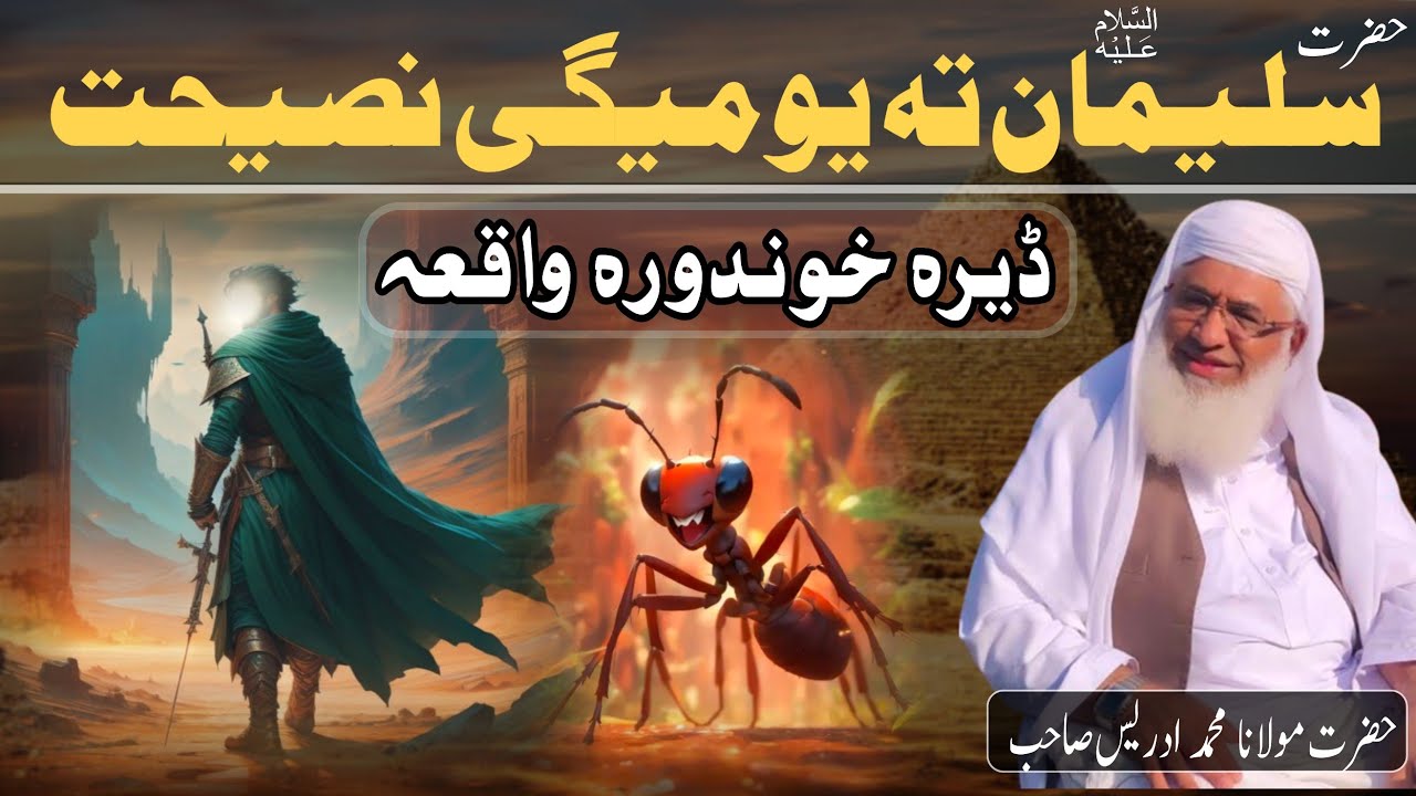 Hazrat Sulaiman As Ao Megi Waqia | Shaikh Idrees Sahib Pashto Bayan | Shekh Idrees Bayan 2024 |