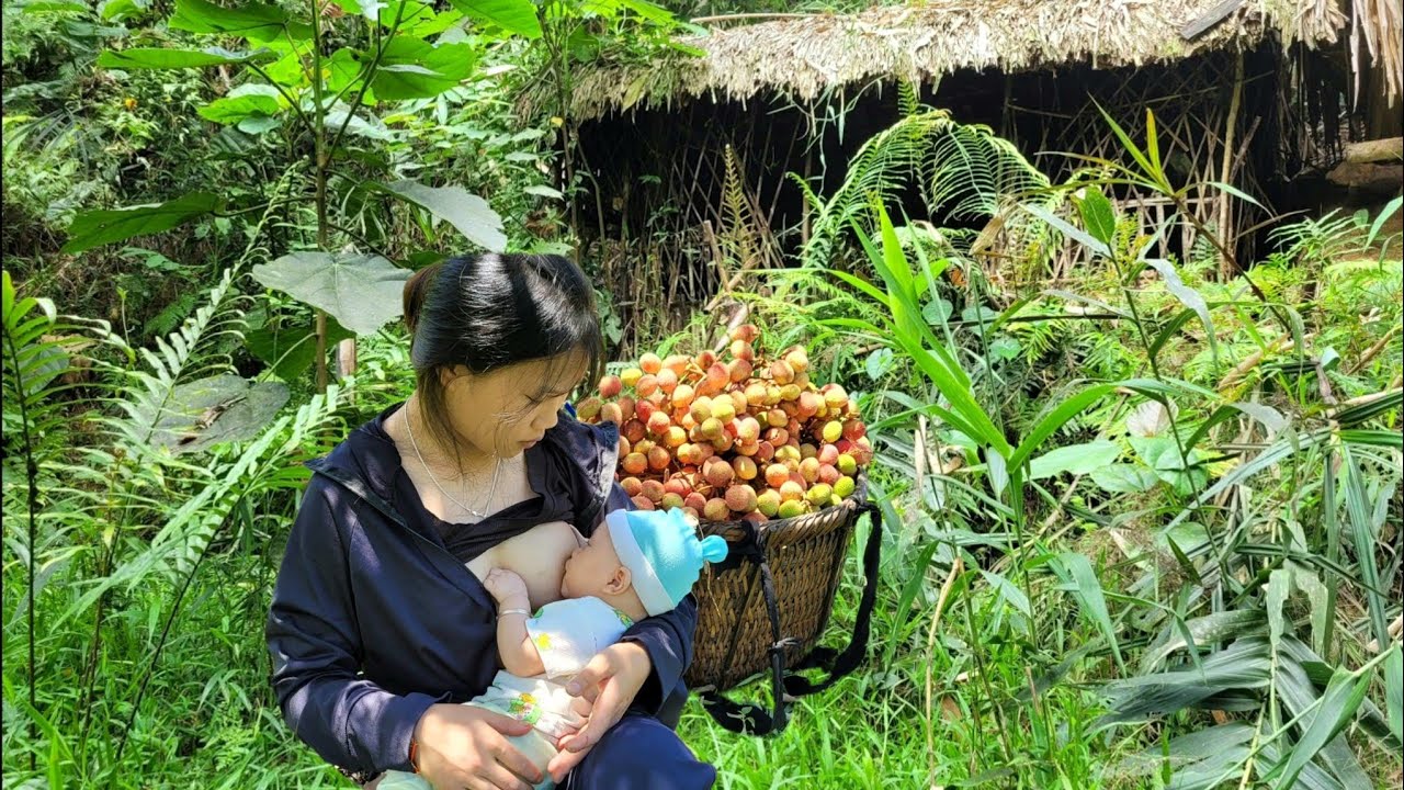 Picking lychees, gardening, and relaxing in an abandoned house.
