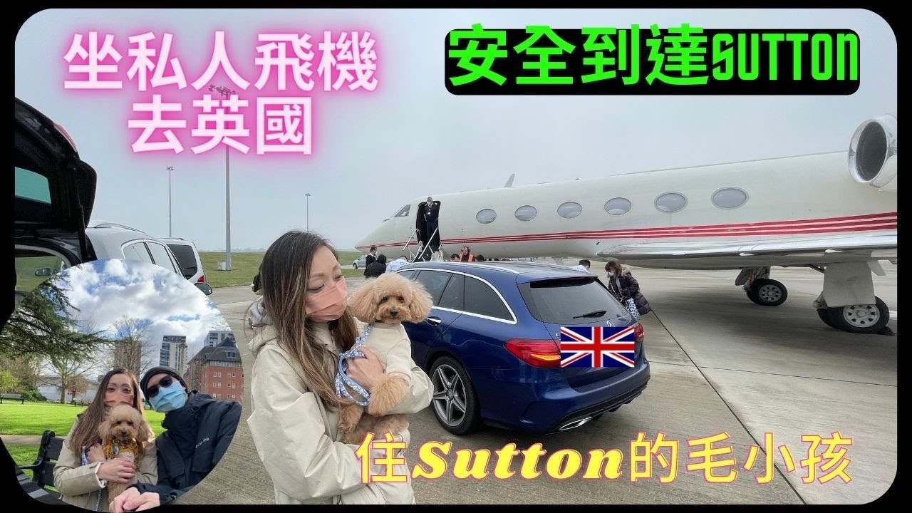 [住Sutton的毛小孩] 坐私人飛機去英國, 安全到達Sutton SM1 移民英國- 寵物移民#8