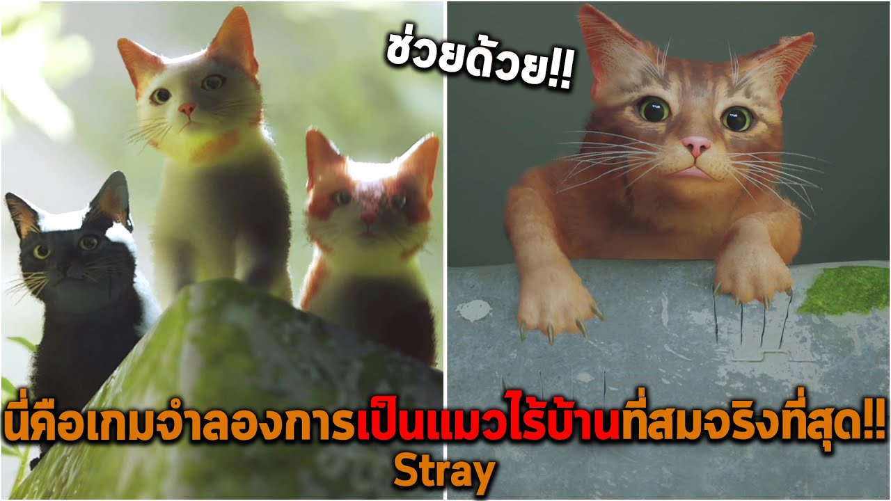 นี่คือเกมจำลองการเป็นแมวไร้บ้านที่สมจริงที่สุด Stray