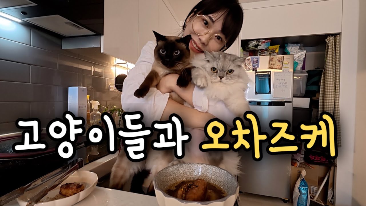 [VLOG] 고양이 3마리한테 감시당하며 요리하면 생기는 일 