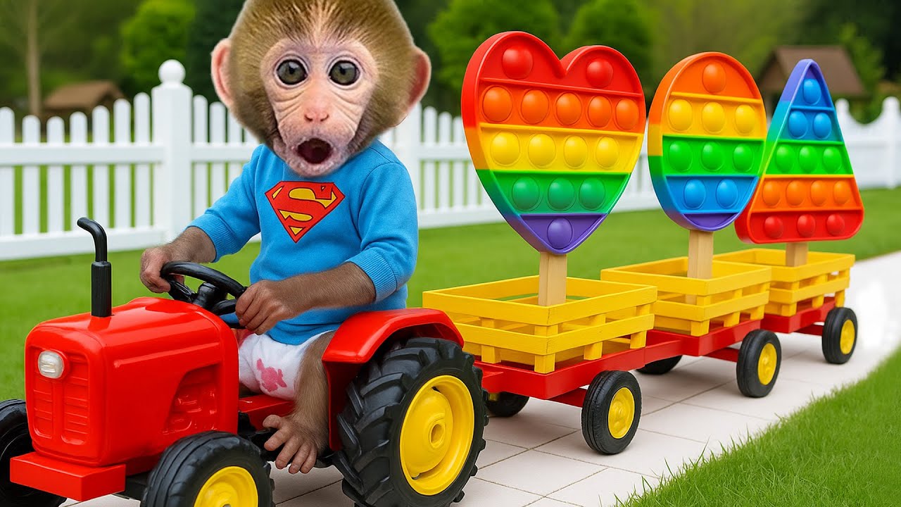 Monkey BonBon i ognista wyprawa test odwagi i braterskiej więzi – Monkey Poland