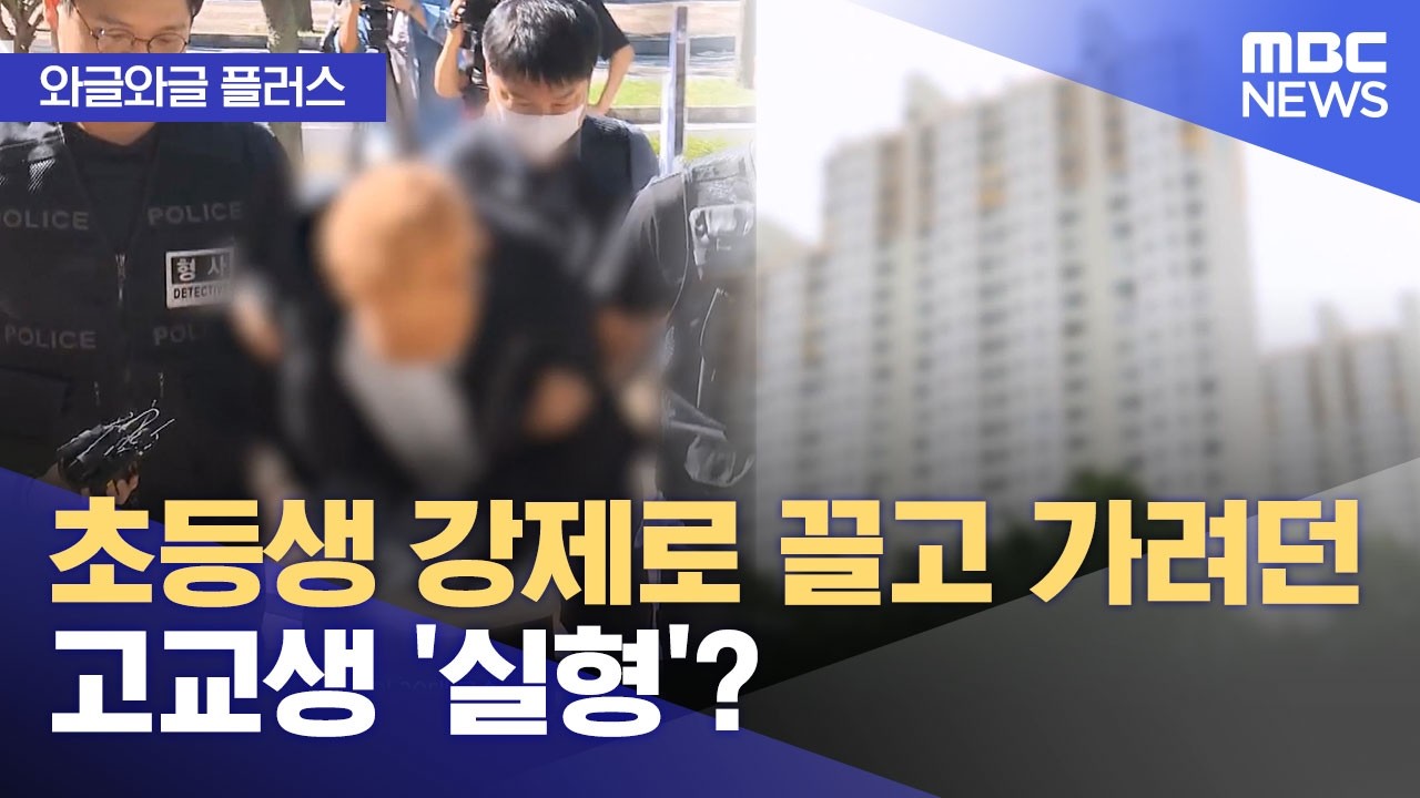[와글와글 플러스] 초등생 강제로 끌고 가려던 고교생 '실형'? (2026.04.10/뉴스투데이/MBC)