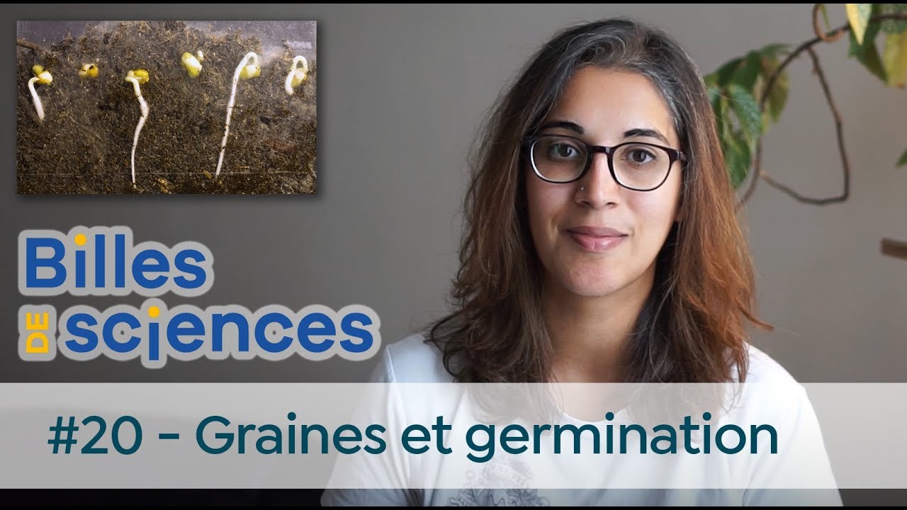Billes de Sciences #20 : Aurélie Froger - Graines et germination
