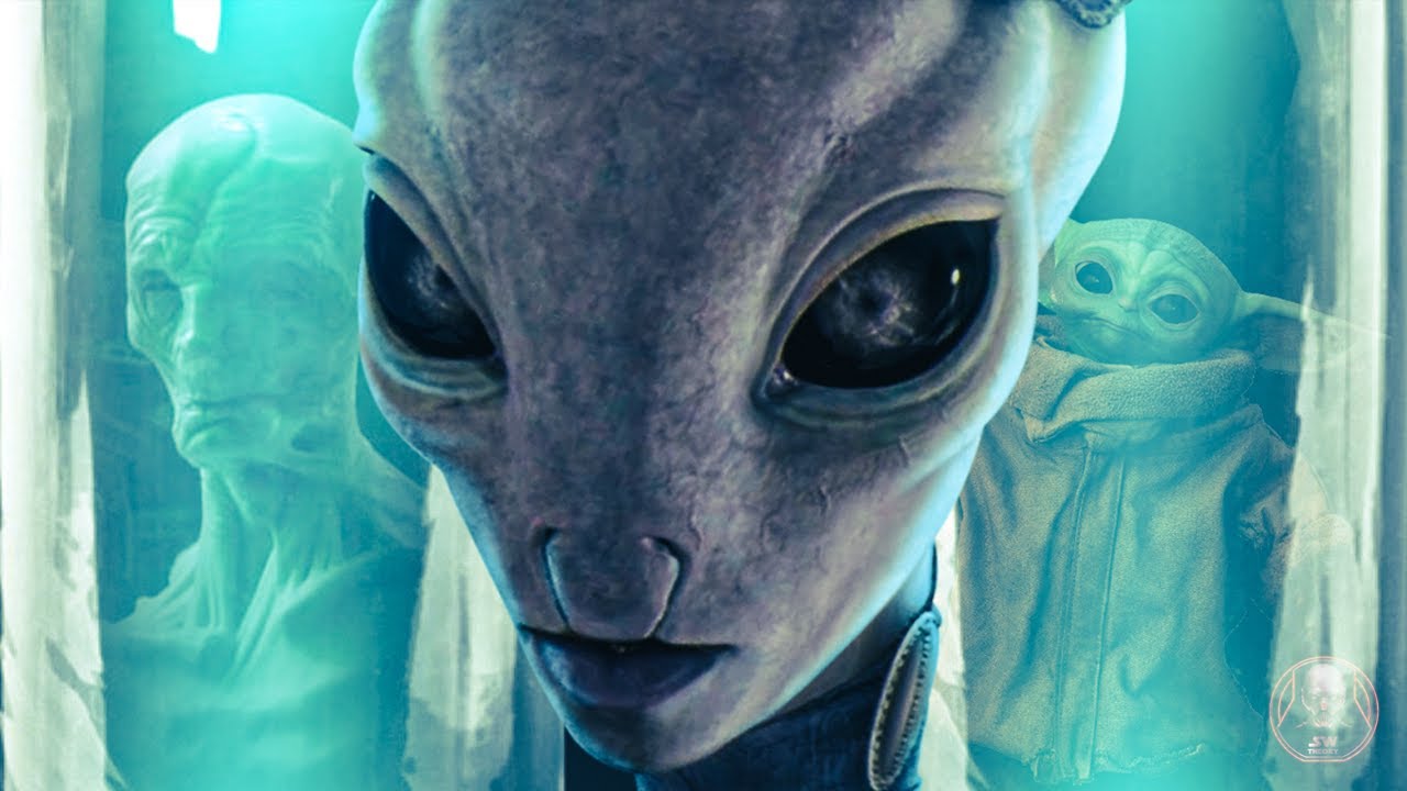 Kamino and Kaminoans FULL HISTORY and LORE