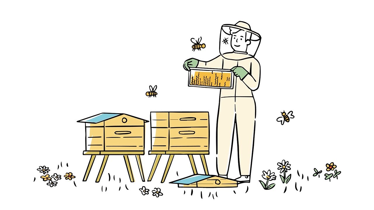 Présentation d'activité : des pots pour petits producteurs de miel 🐝🍯🌼 Vidéostorytelling by Néologis