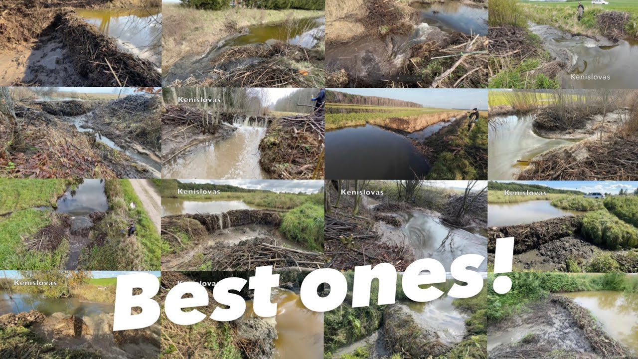 MOST SATISFYING DAM BREAKS OF 2025 | BEST MOMENTS