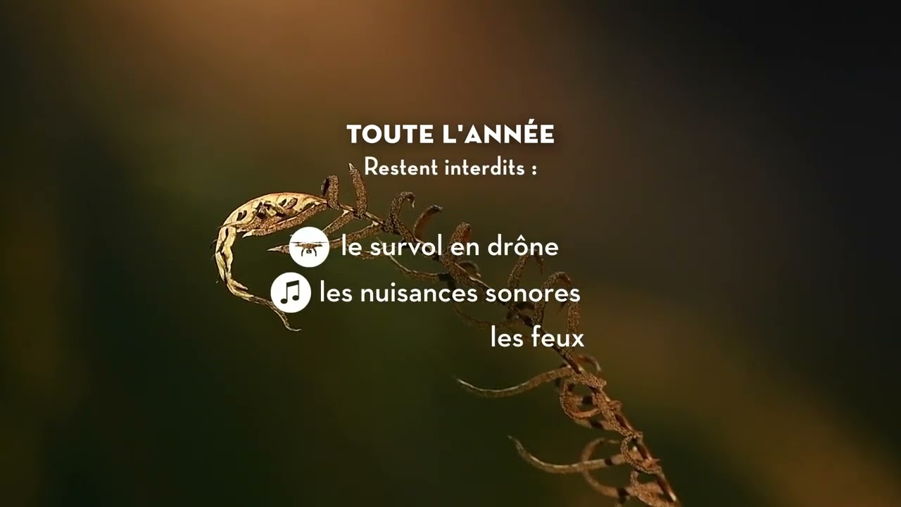 Bien préparer sa sortie dans les APPB, du 15/12 au 30/06 (Risoux, Massacre, Bois de Ban-Arobiers)