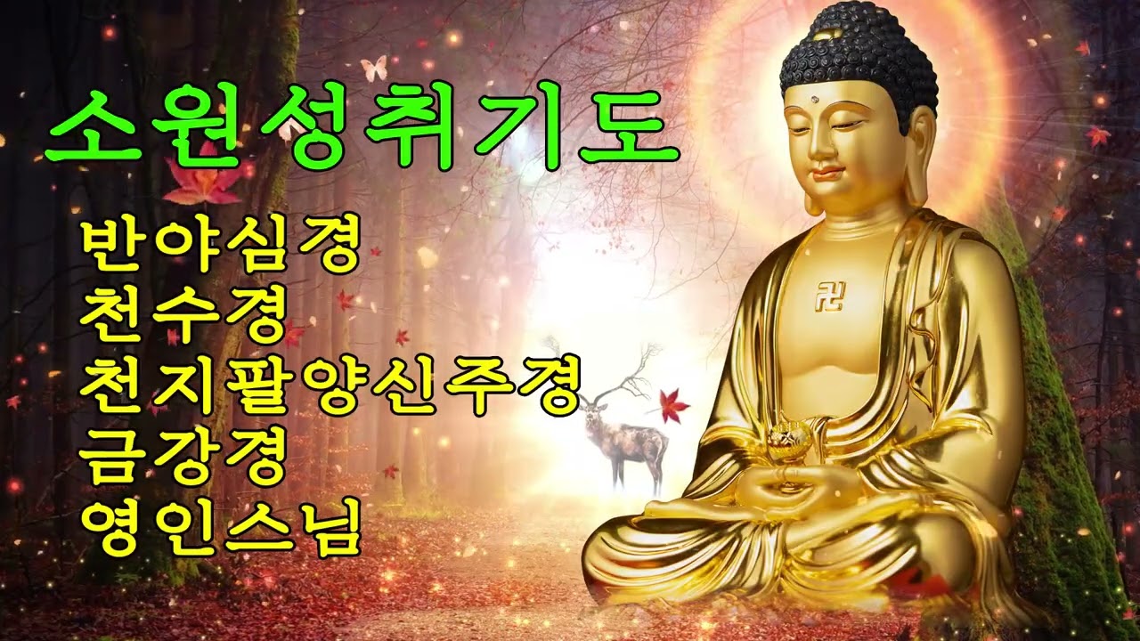 큰 복과 행운이 끊임없이 들어오는 불경 🙏🌸 반야심경·천수경·천지팔양신주경·금강경 | 영인스님 독송