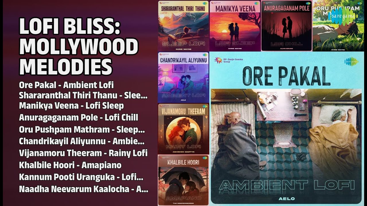 Lofi Mollywood Hits | Shahabaz Aman Songs | Ore Pakal  Ambient Lofi