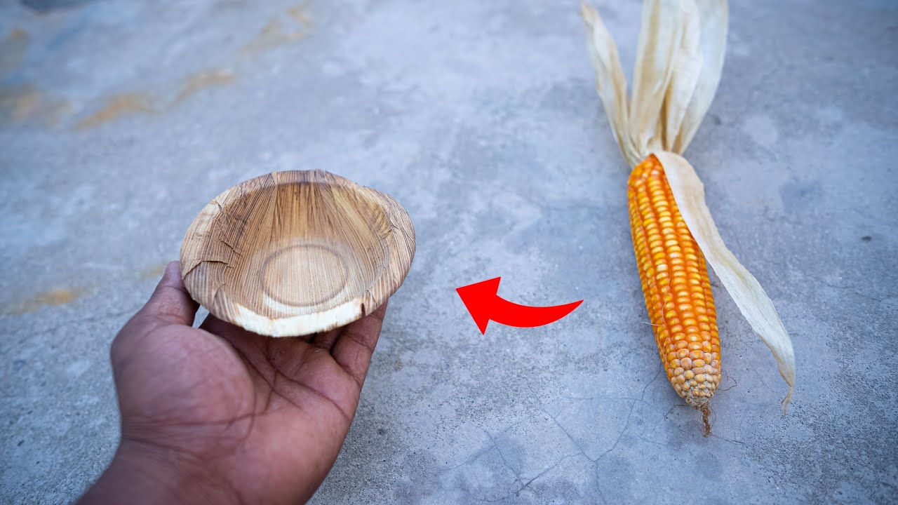 मक्का से बना कटोरा Bowl made from maize plants
