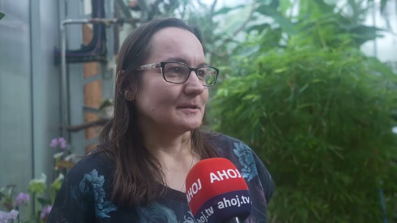 Skleníky košickej botanickej záhrady rozkvitli orchideami