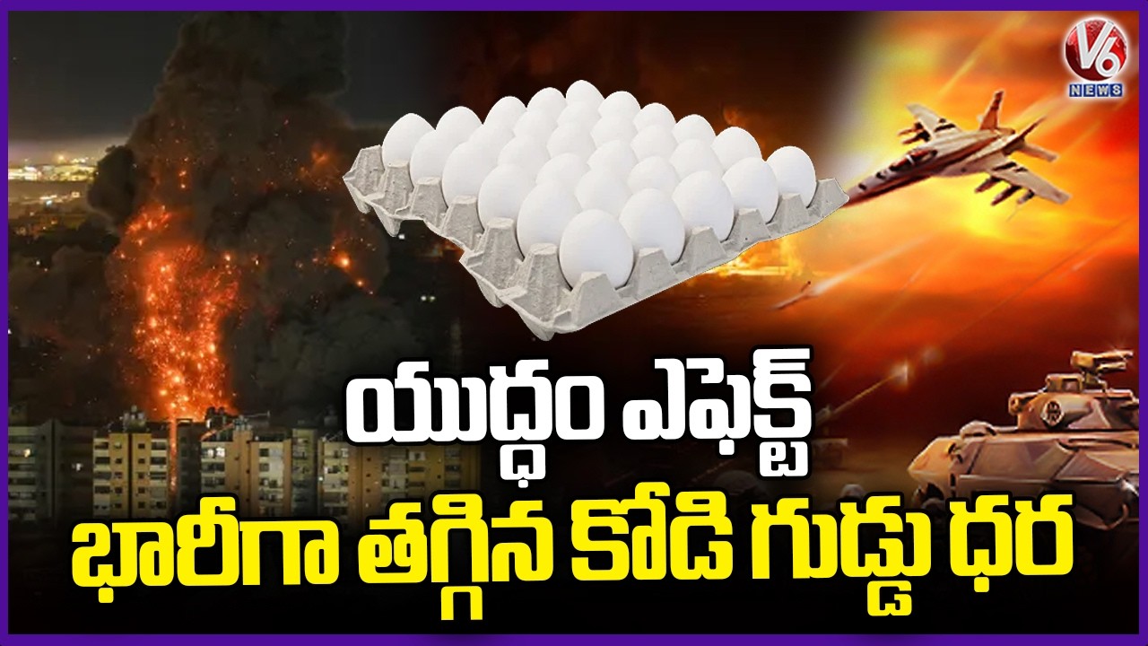 War Impact Hits Poultry Industry | Egg Price Drop | V6 News