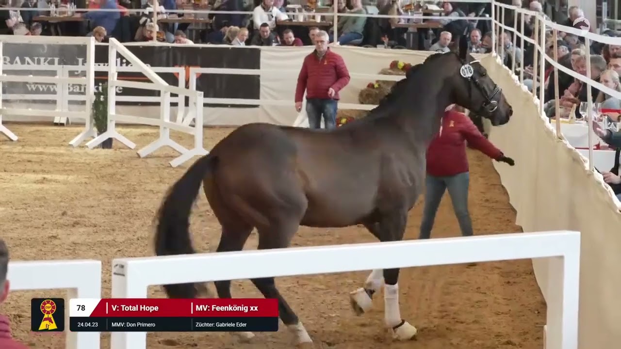 Lot 78 v. Total Hope / Feenkönig xx