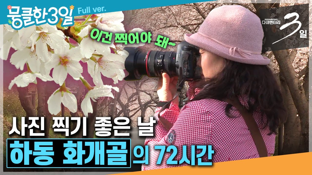 [다큐3일★] 팔순 할머니도 벌떡 일으킨다는 '봄'🌸십리 벚꽃길을 걸으며 인생의 아름다움을 느껴본다🌱 ‘하동 화개골'의 72시간 | KBS 190421 방송