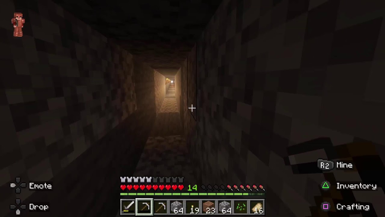 Minecraft sonic