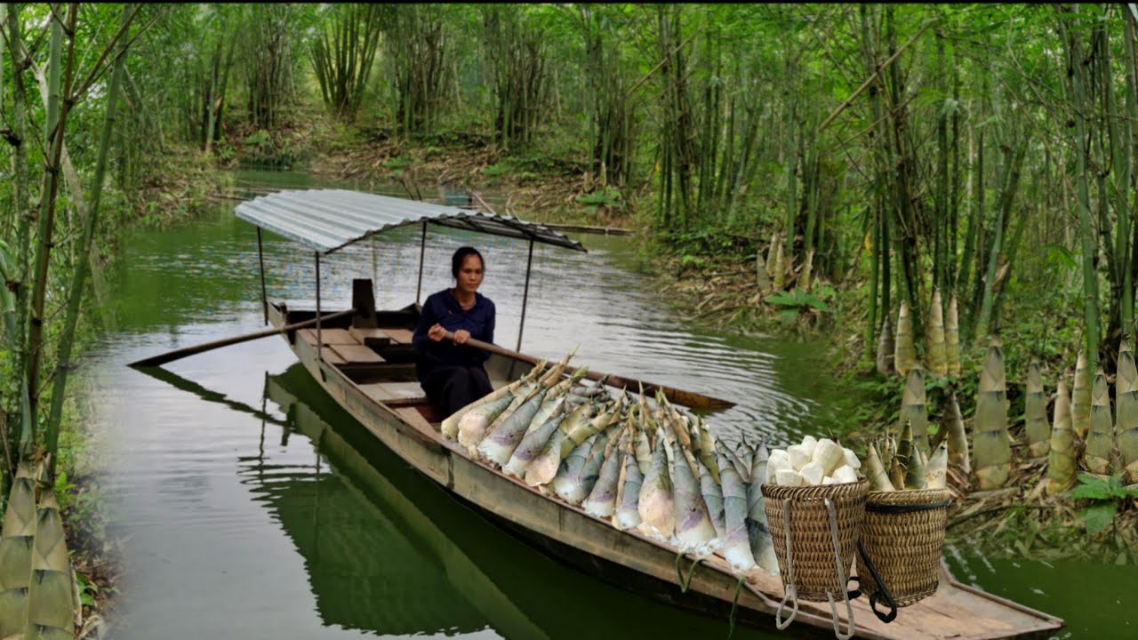 Harvesting a big batch of bamboo shoots and transporting them by motorboat to sell to the traders.