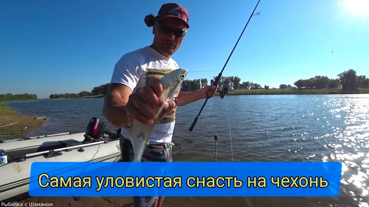 АХТУБА/БОЛХУНЫ 2023 (часть 5) Чехонь.