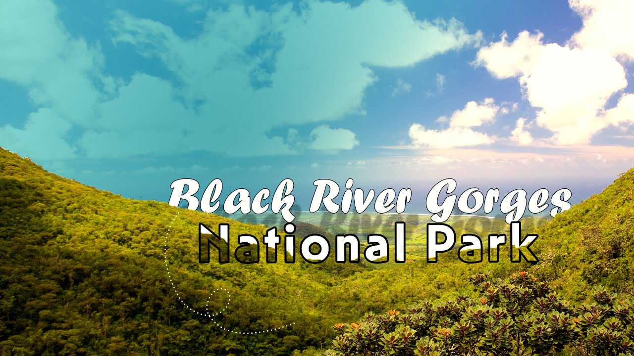 Black river gorges || MAURITIUS
