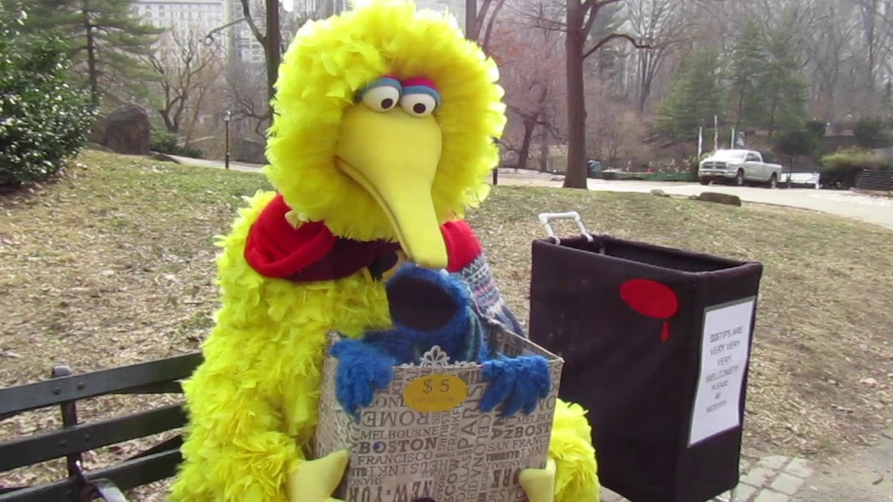 Big Yellow Bird in Central Park