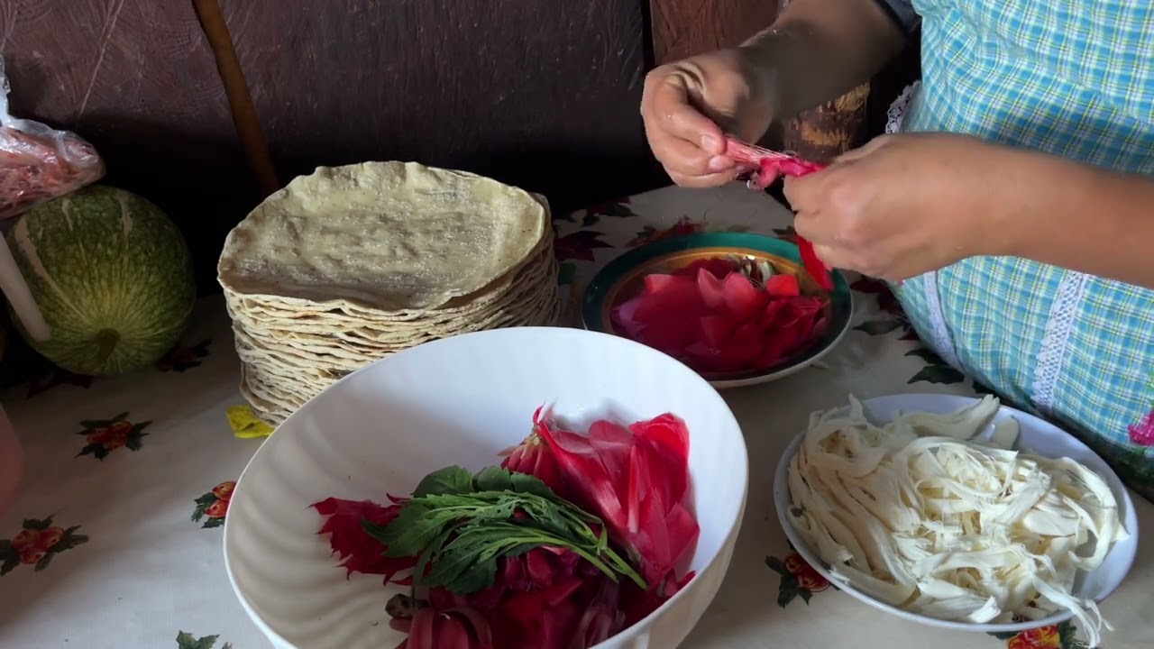 Mi mamá salió al campo yo le ayudo con las tortillas a mano y estas quesadillas