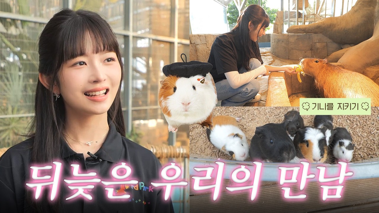 레이 폭주하게 만든 최애 동물 기니피그와 카피바라의 매력 발산ㅣ따라해볼레이 EP.50