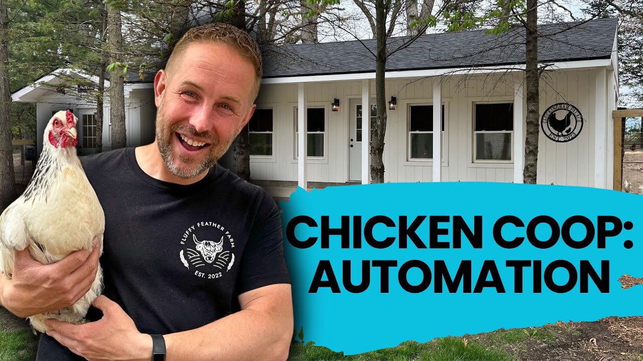 Automating Your Chicken Coop! A Must-watch Update!
