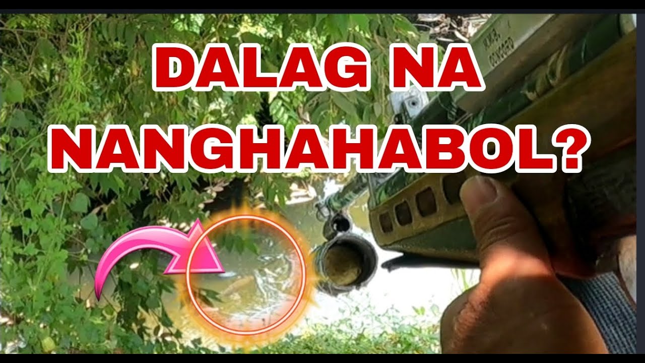 P1 DALAG NA NANGHAHABOL,HINABOL DIN NG AKING SIMA /Airgun Fishing /Fishgunerong Madiskarte