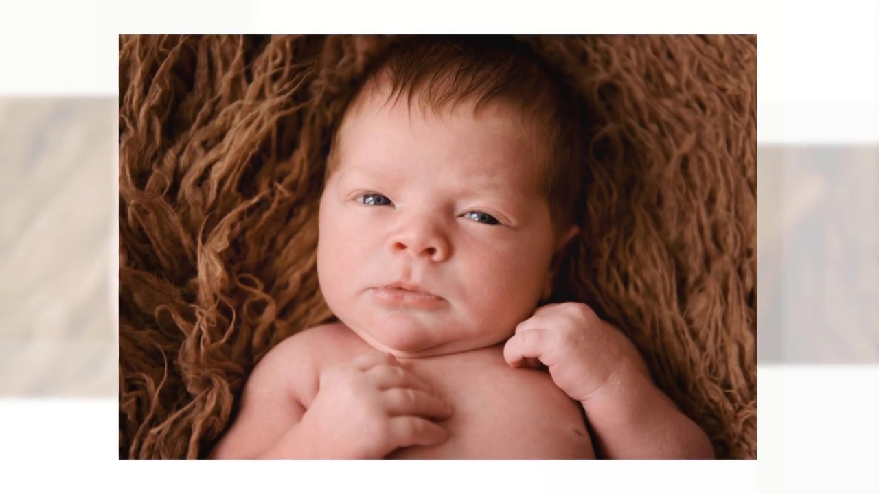 Baltimore Newborn and Family Photographer