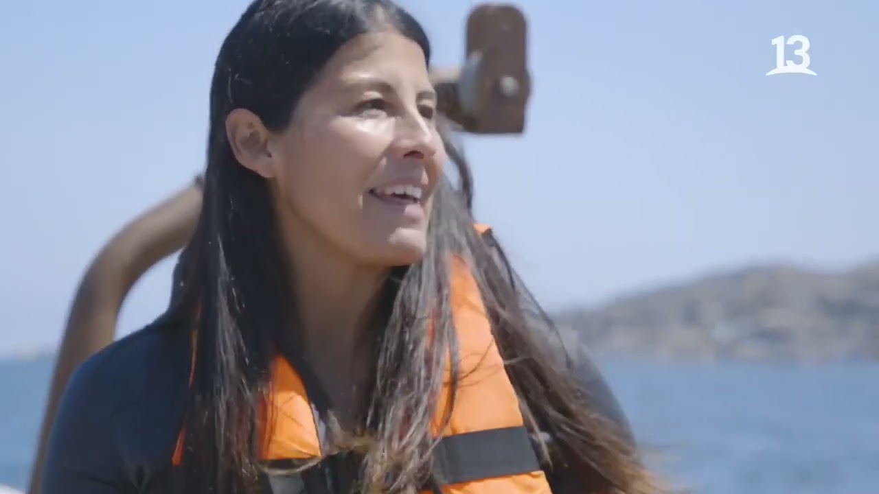 Recolección y cultivo de Ostras. Somos Caleta, Caleta Tongoy. Canal 13.
