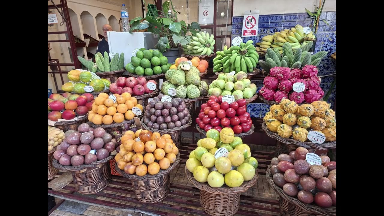 Unser Fazit zur Mein Schiff Relax