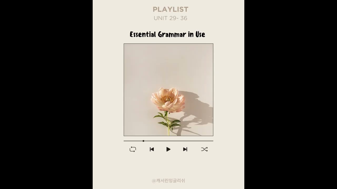Essential Grammar in Use Unit 29-36 playlist