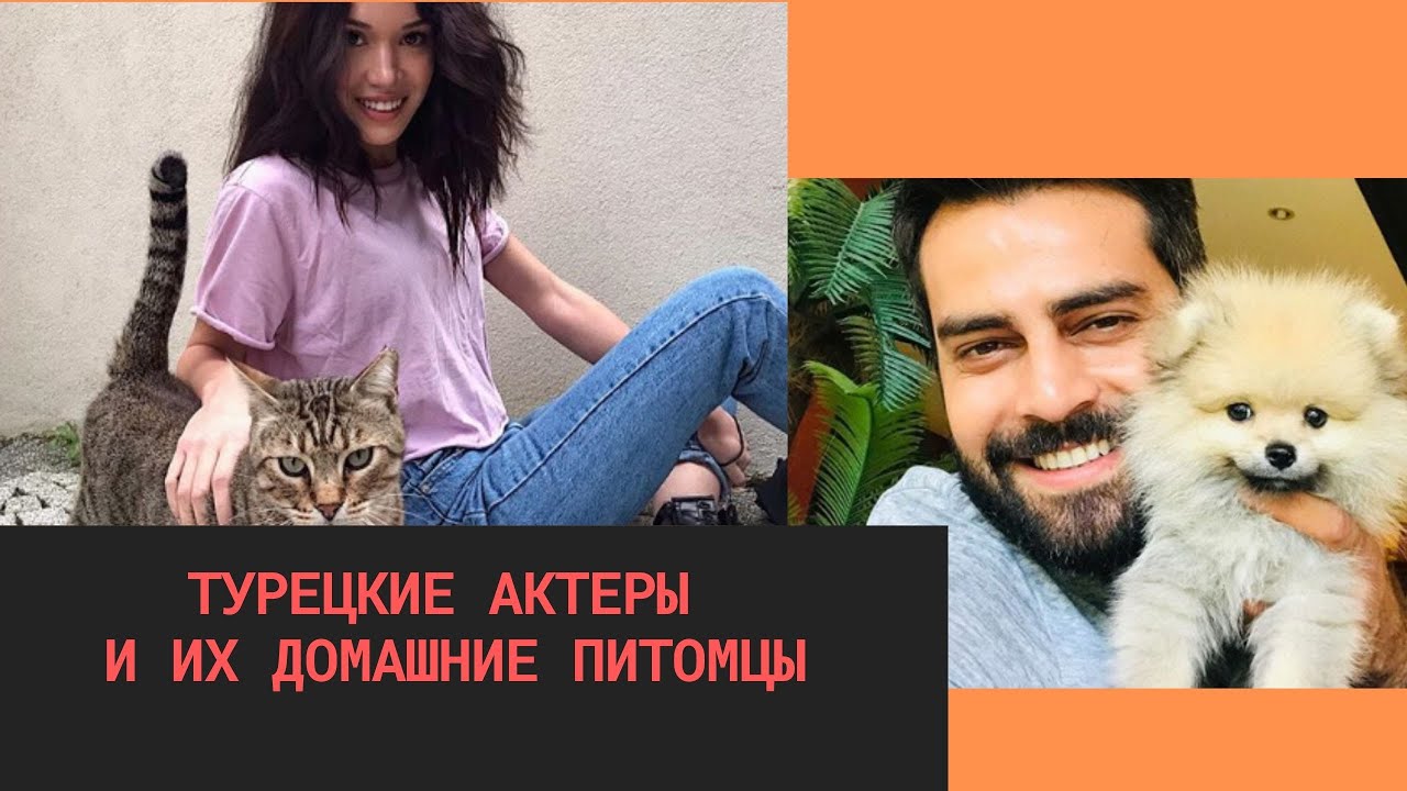 Турецкие актеры и их домашние питомцы: Фахрие Эвджен, Хазал Субаши,Эркан Мерич,Кадир Догулу и другие