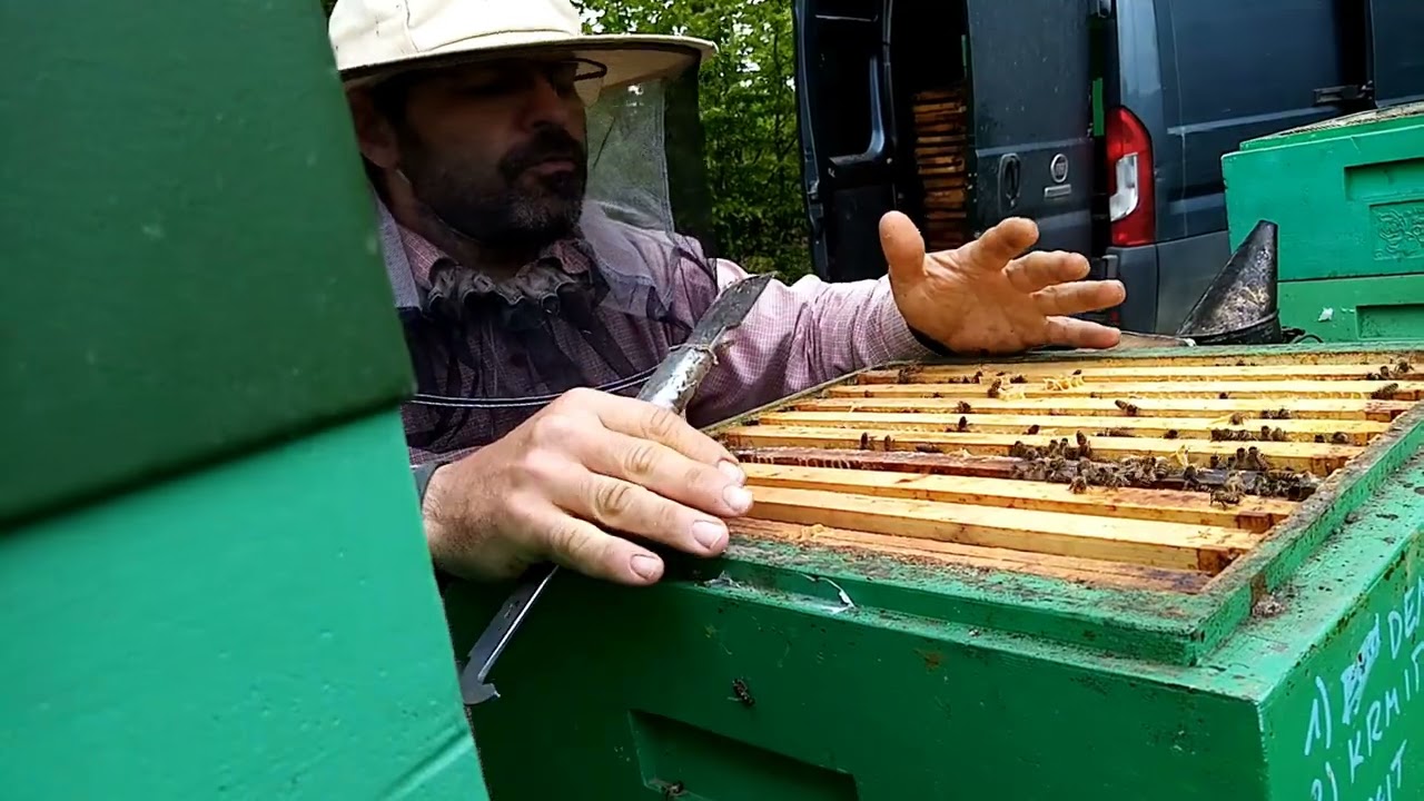 106/21 Optimalizované plodiště J4 v 550 m.n.m. Včelařství Sedláček
