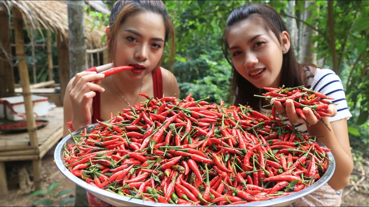 Yummy cooking chili paste recipe - Cooking skill