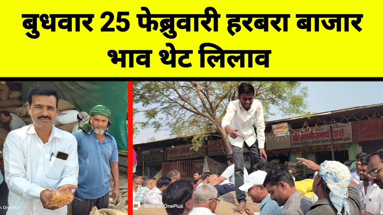 बुधवार 25 फेब्रुवारी हरभरा बाजार भाव थेट लिलाव || हरभऱ्याला काय मिळतो भाव