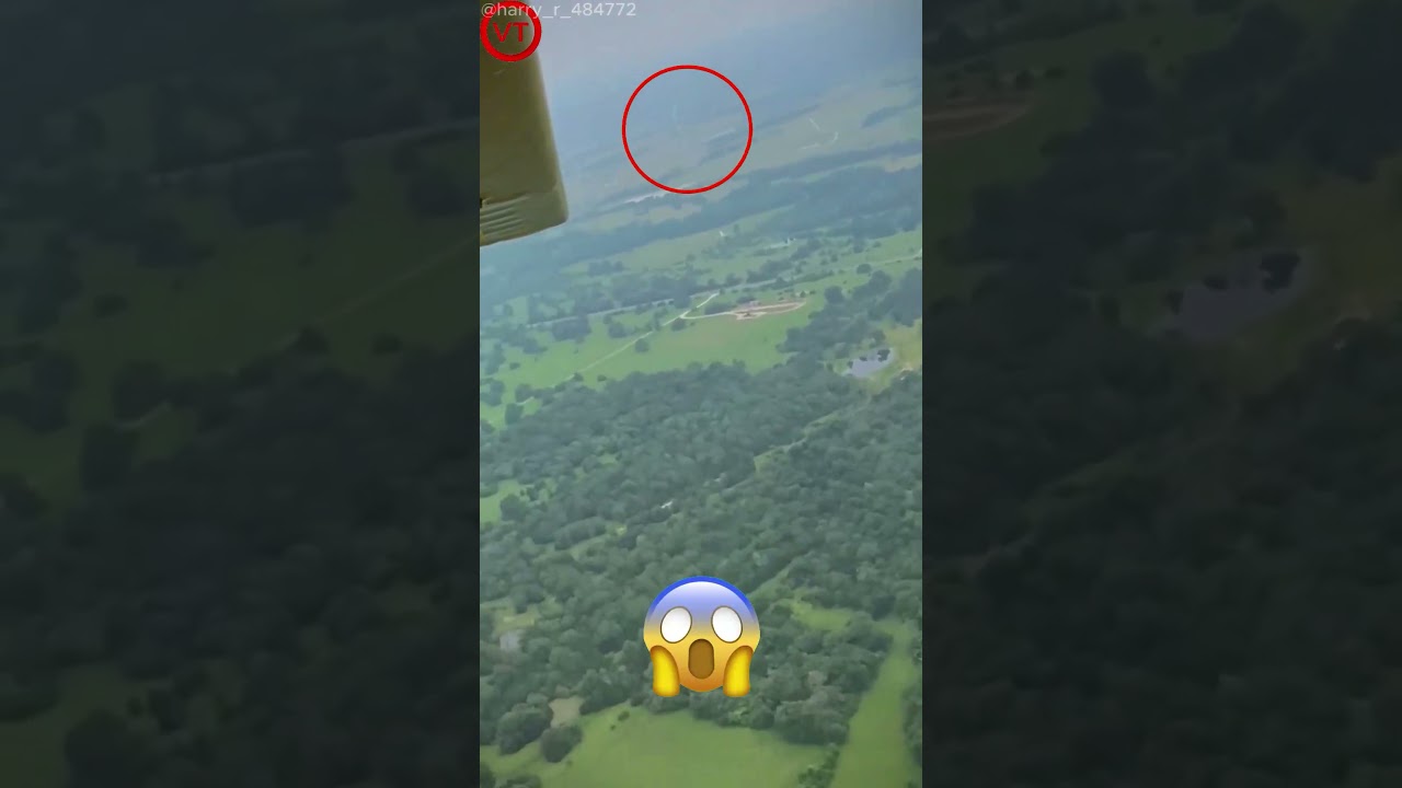 Watch Closely… Where Did It Go? 👀