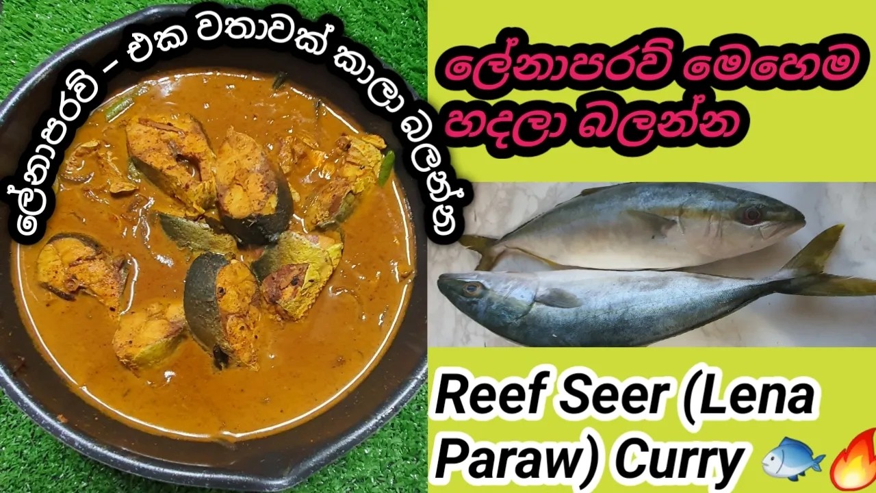 ලේනා පරව් – එක වතාවක් කාලා බලන්න😋Creamy Sri Lankan Reef Seer (Lena Paraw) Fish Curry |