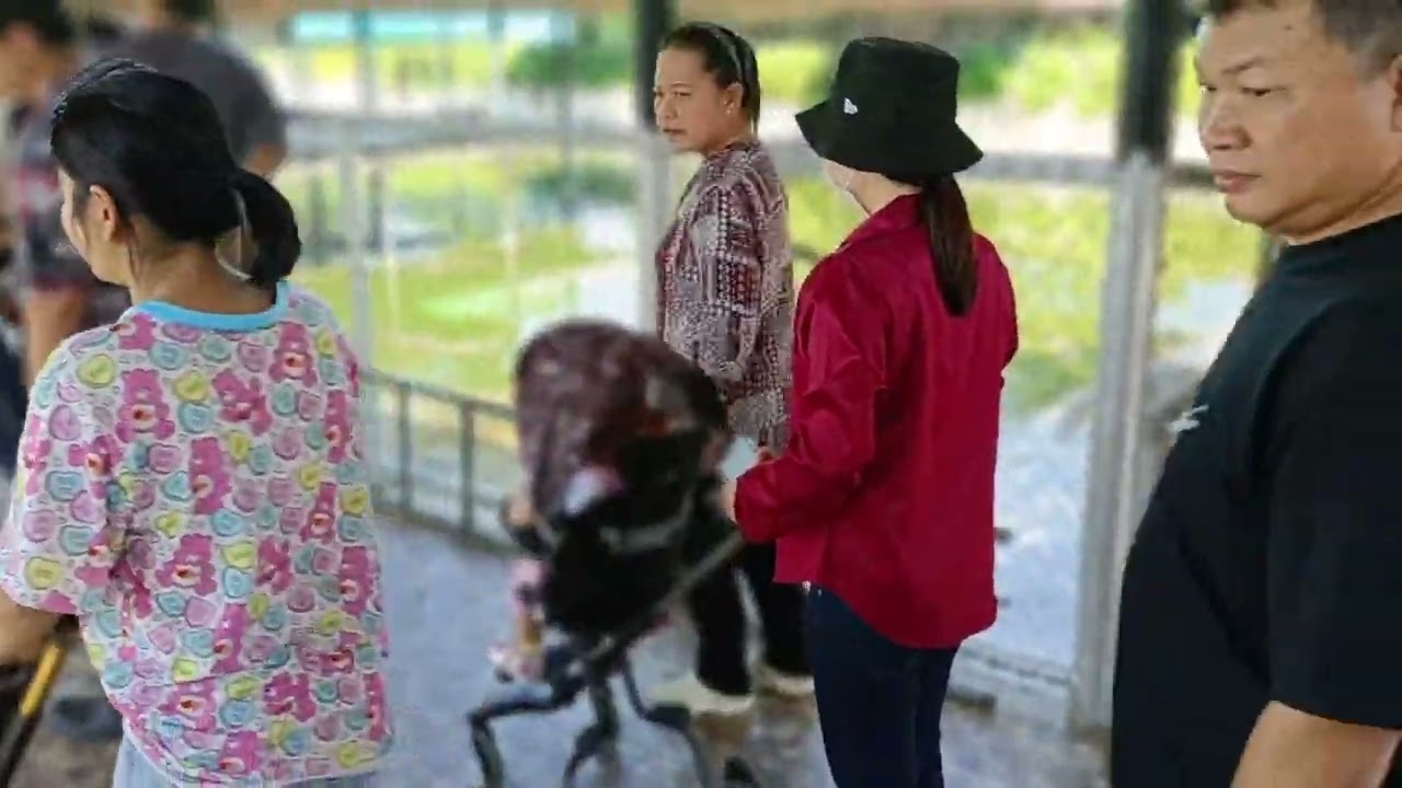 EP54.1.3(31Dec..2024)สวนสัตว์ อยุธยา