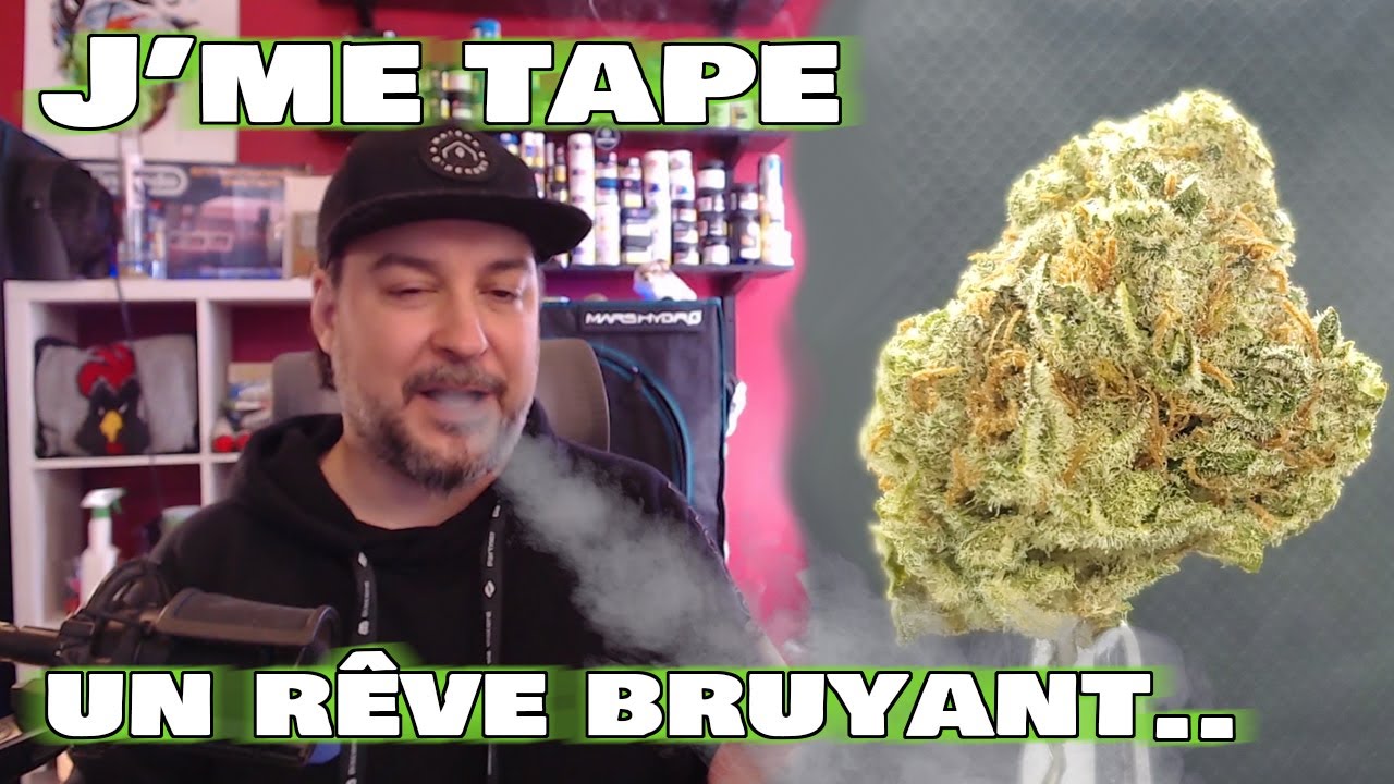 LOUD DREAM - 21 % THC - Plantations C&eacute;r&egrave;s - Pr&eacute;sentation et test de leur cannabis !