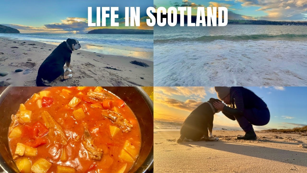 Days in my life in Scotland | living diaries | Cooking 