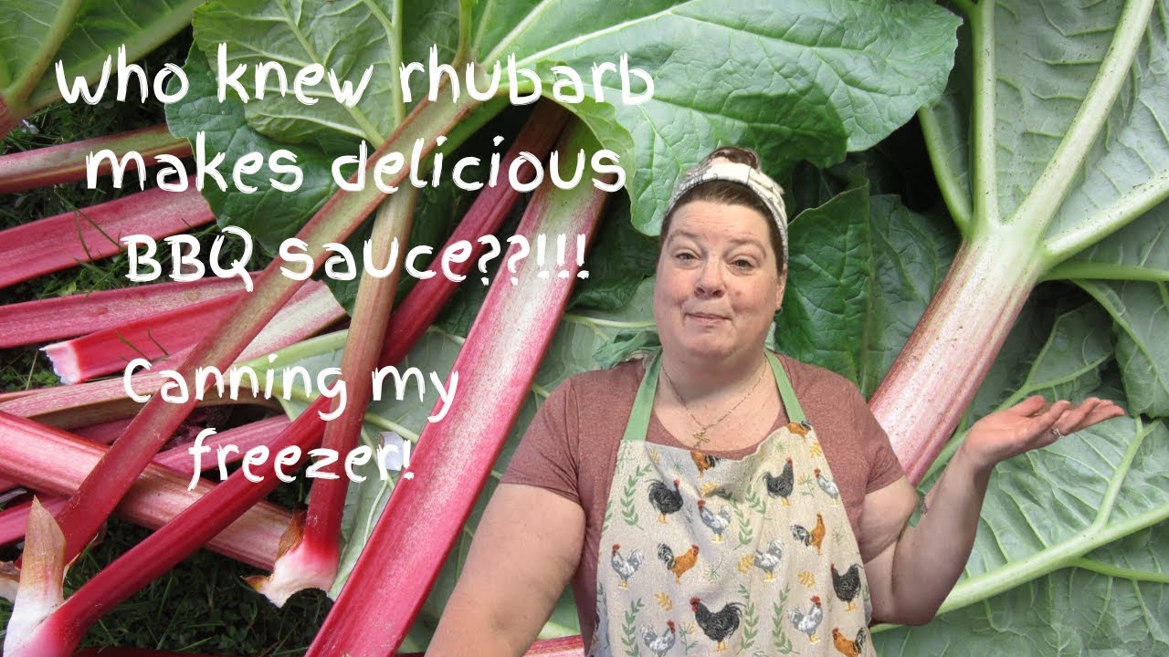 Canning my freezer/ Rhubarb BBQ sauce #rhubarb#rhubarbbbqsauce #freezer #stockpile#waterbathcanning