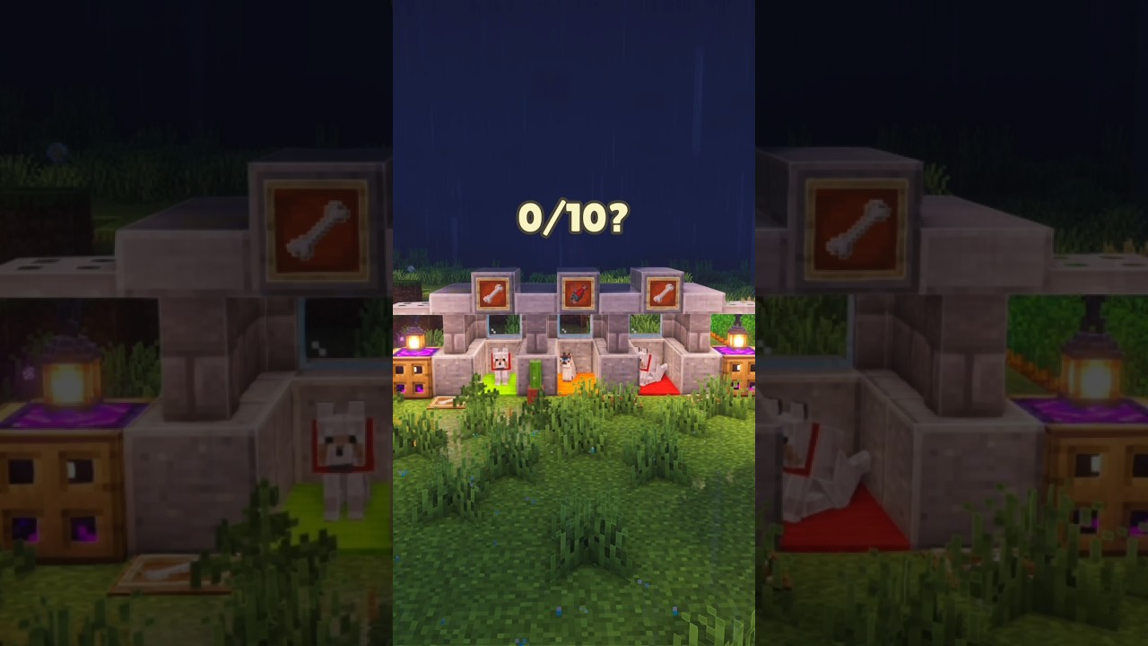 House for my pets 😃😌#shorts