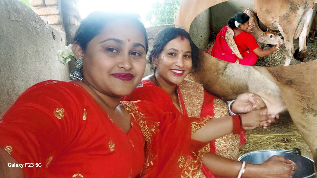 Nonod r boudi mile gai dud doachi 🐄 🥛🐄#cow milking vlogs #Deli vlogs #cow @Kalyani vlogs