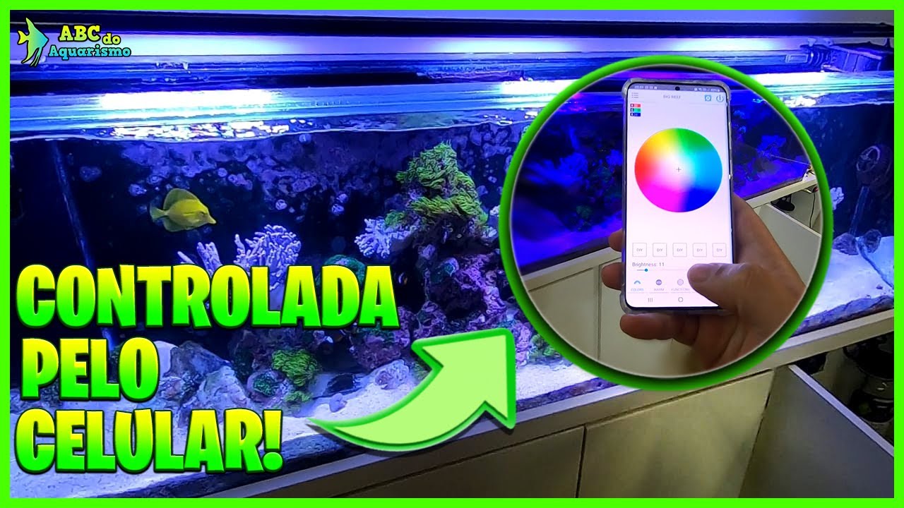 NOVA LUMINÁRIA FORFISH PARA O AQUÁRIO BIG REEF